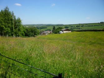 Field overlooking studio - Tour de France camping